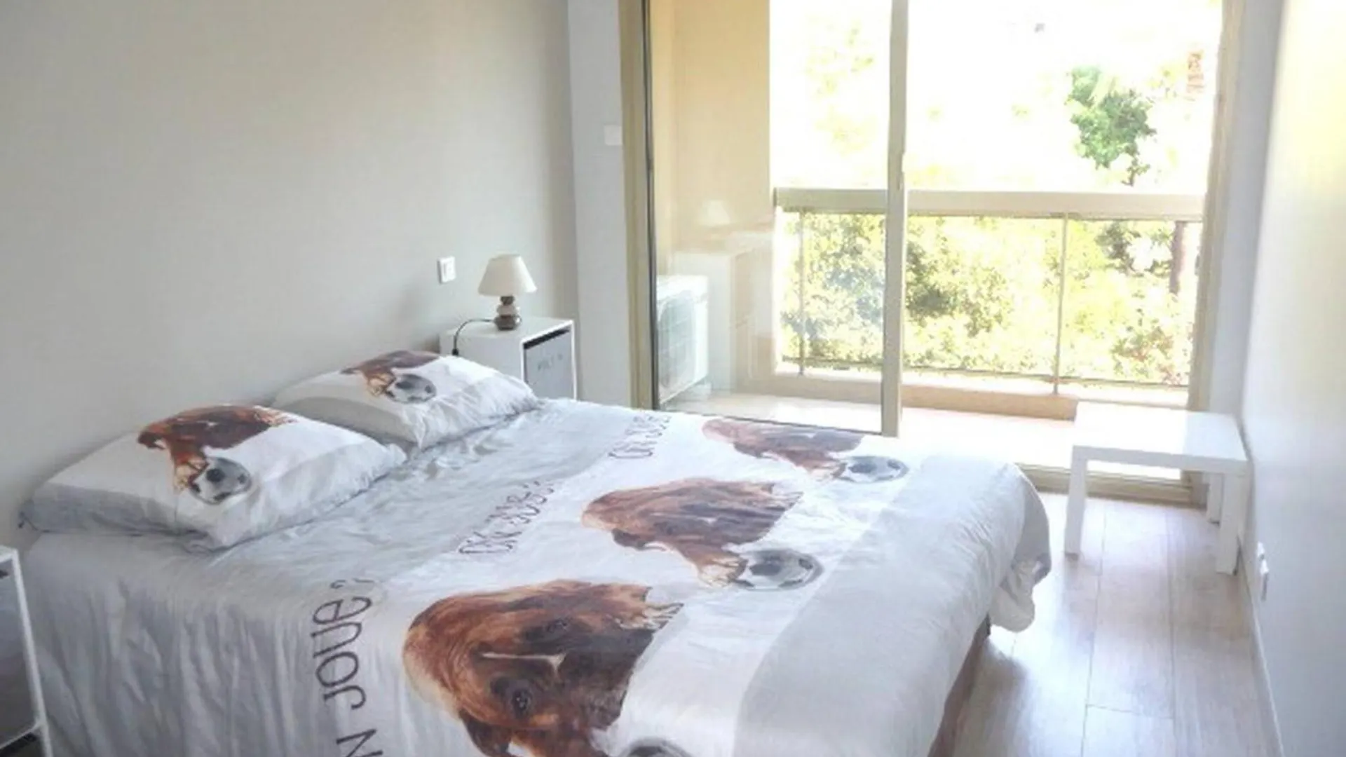 Apartment Spacieux 3 P Juan Les Pins Antibes France